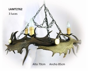 Lámpara de gamo 3 luces, Asta de Ciervo, gamo y corzo, International Antler Trading SL